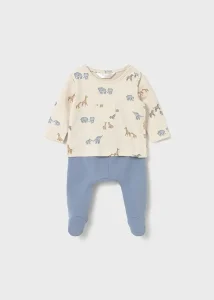 Εναλλακτικό χρώμα