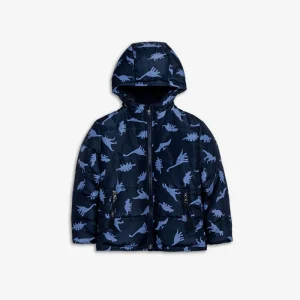 Εναλλακτικό χρώμα