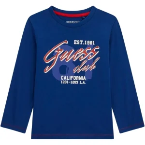 Εναλλακτικό χρώμα